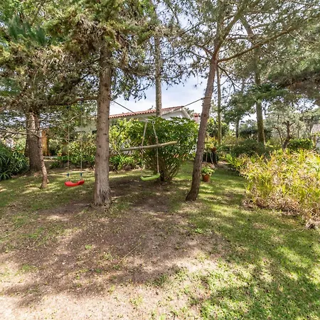 Miragem - New! Colares